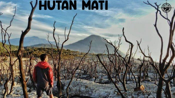 Hutan Mati